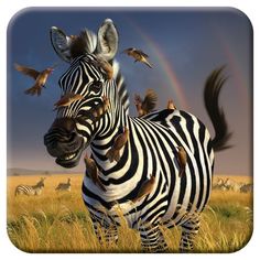 a zebra standing in the middle of a field with birds on it's back