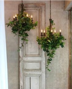 two potted plants hanging from the side of a wall next to a door with candles on it