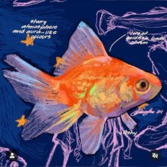 a drawing of a goldfish with its name and description on it's side