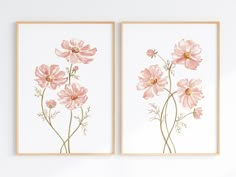 two pink flowers on white background framed in wooden frames