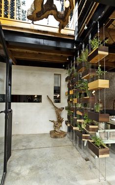 an indoor space with several planters on the wall and a sculpture in the center