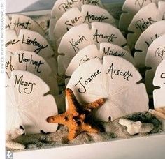 an arrangement of shells and starfish with names written on them