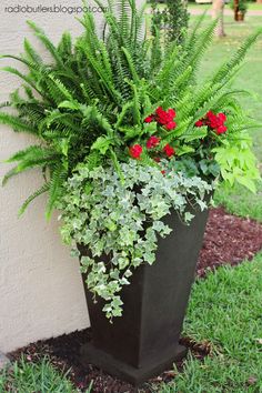 a planter with red flowers and green leaves