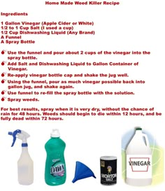 the ingredients for vinegar vinegar vinegar vinegar vinegar vinegar vinegar vinegar vinegar vinegar vinegar vinegar vinegar vinegar vinegar