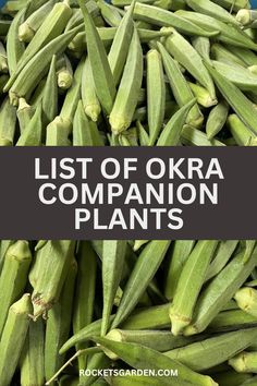 the list of okra companion plants with text overlay that reads list of okra companion plants