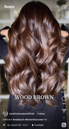 Long Chocolate Hair, Rich Brown Hair Balayage, Milk Chocolate Brown Hair Color, Brown Hair Shades Chart, Hair Gloss Colors, Chocolate Colored Hair, Iced Chocolate Hair Color, Cocoa Brown Balayage, Brown Global Hair Color