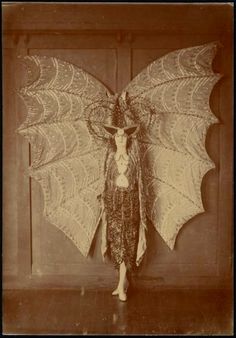 an old photo of a woman with wings on her head and body, standing in front of a wooden door