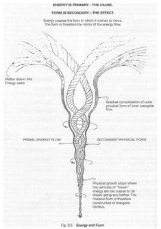 the diagram shows an image of a plant with water flowing from it's roots