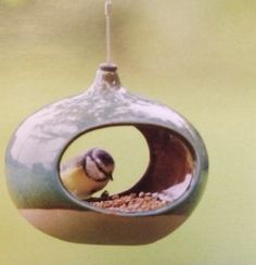 a bird feeder hanging from the side of a tree with a small bird in it