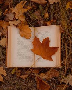 an open book with a leaf laying on top of it in the grass next to leaves