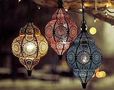 three colorful lights hanging from a tree branch