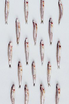 several fish are arranged in rows on a white surface