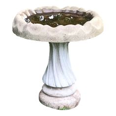 a bird bath sitting on top of a white pedestal