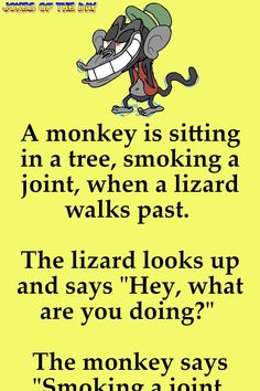 Funny: A monkey is sitting in a tree, smoking a joint, when a lizard walks past Sitting In A Tree, Clean Funny Jokes, Funny Relationship Jokes, Humor Mexicano, Work Quotes Funny, Trending Topic, Funny Long Jokes, Funny Work Jokes, Short Jokes