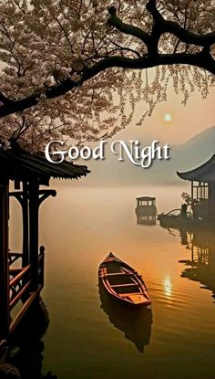 a boat floating on top of a body of water near a tree with the words good night