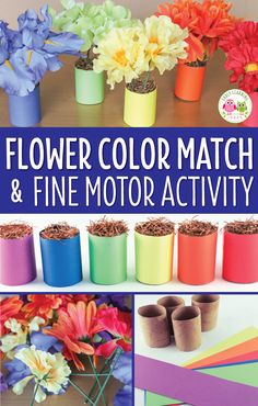 flower color match and fine motor activity for kids