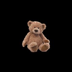 a brown teddy bear sitting up against a black background