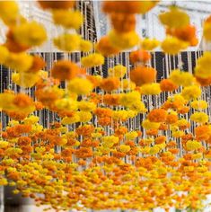 yellow and orange flowers hanging from the ceiling in an art installation, with white background