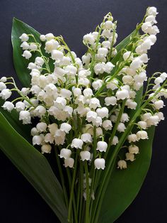 a bouquet of white flowers sitting on top of a green leaf