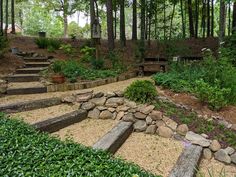 an outdoor garden with stone steps leading up to trees and shrubs in the background, surrounded by greenery