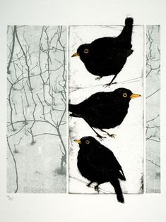 two black birds sitting on top of a white paper with trees in the back ground