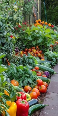 many different types of vegetables are growing in the garden