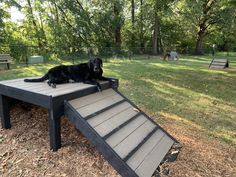 a large black dog laying on top of a wooden ramp