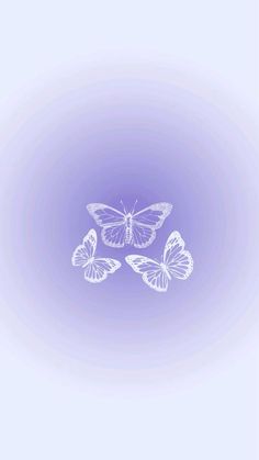 three butterflies flying in the air on a purple and white background with space for text