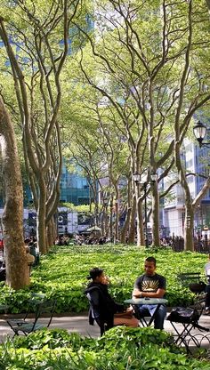 people sitting on benches in the middle of a park