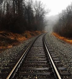 an empty train track with trees in the background on a foggy day or early morning