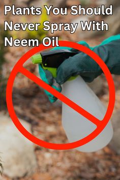 a hand in green gloves holding a plastic bottle with a no spray sign over it