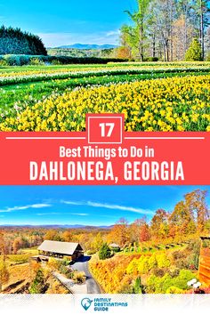 the best things to do in dahlonega, georgia with text overlay