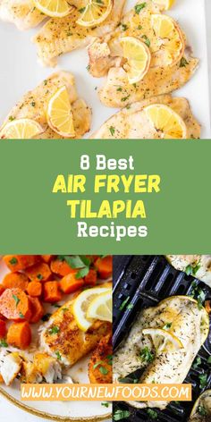 the best air fryer tilapia recipes