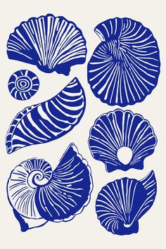 blue sea shells on a white background with the words seashells written below them