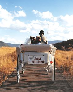 people riding in a horse drawn carriage down a road with tall grass on both sides