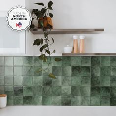 a potted plant in the corner of a kitchen counter top with green tiles on it