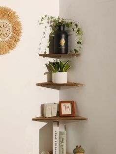 three wooden shelves with plants and books on them in a corner next to a white wall