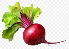 a red radish with green leaves on it