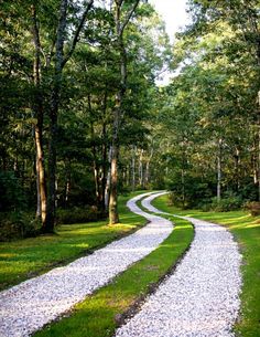 a gravel road in the middle of a forest