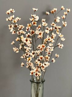 a glass vase filled with white flowers on top of a wooden table next to a gray wall