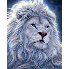 a white lion with blue eyes is featured in this black and white photo by the artist