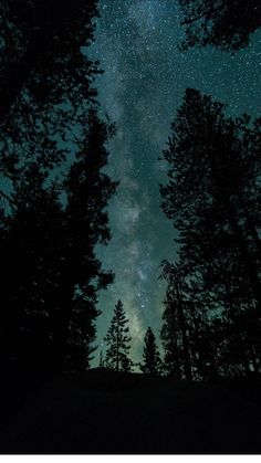 the night sky is filled with stars and trees