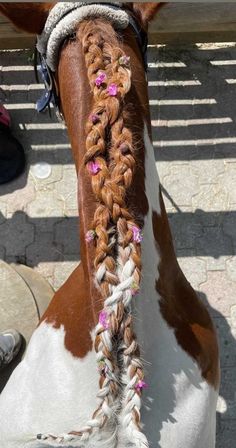 a brown and white horse with braids on it's back