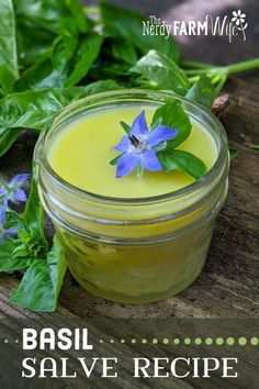 Salves And Balms Natural Remedies, Basil Extract Diy, Medicinal Uses For Basil, How To Make Herbal Salves, Diy Herbal Salves, Basil Herbal Remedies, Diy Basil Salve, Henbit Salve, Sage Salve Recipe