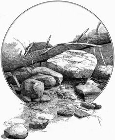 an ink drawing of rocks and branches in the water with a circular border around them