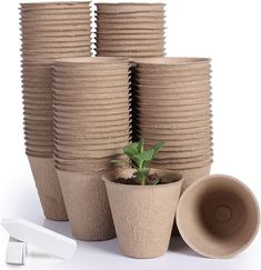 a bunch of brown cups sitting next to each other on top of a white table