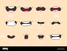 the different types of mouth shapes