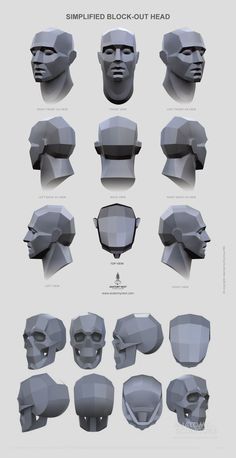 a bunch of different types of head shapes