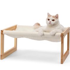 a white cat laying on top of a wooden frame bed with no mattress underneath it