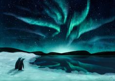 two penguins standing in the snow under an aurora bore